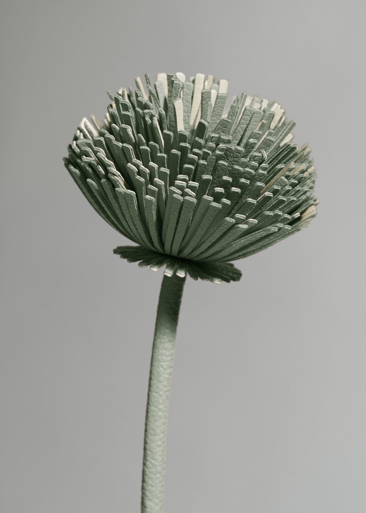 Tul Flower - Duo Fresh Almond