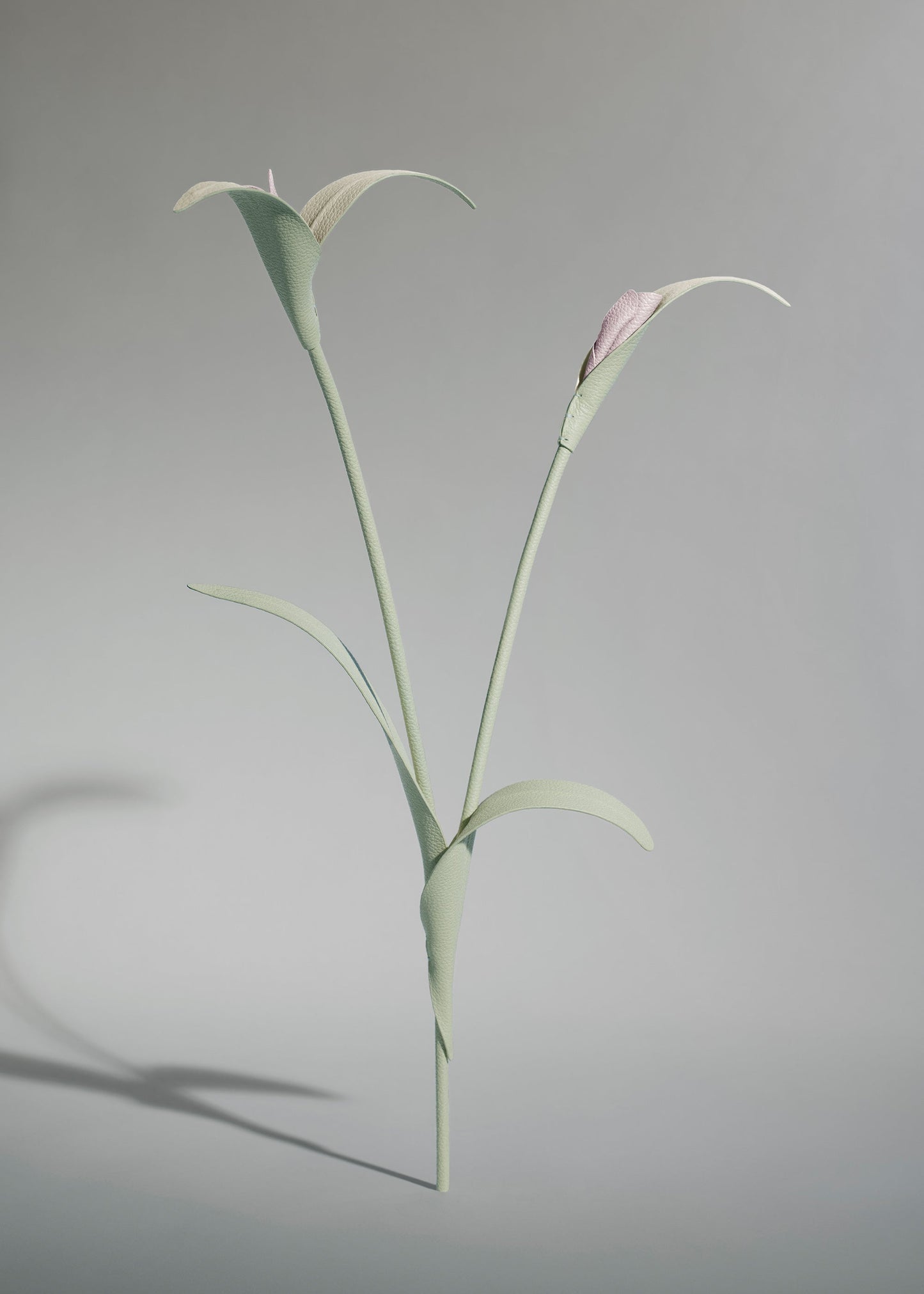 Touka Flower - Trio Fresh Almond