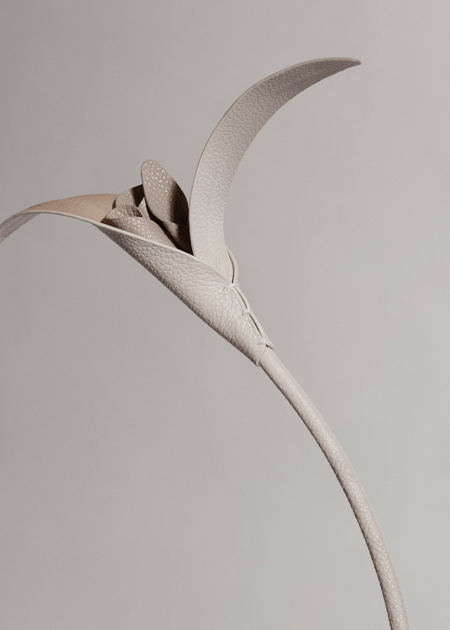 Touka Flower - Trio Chalk