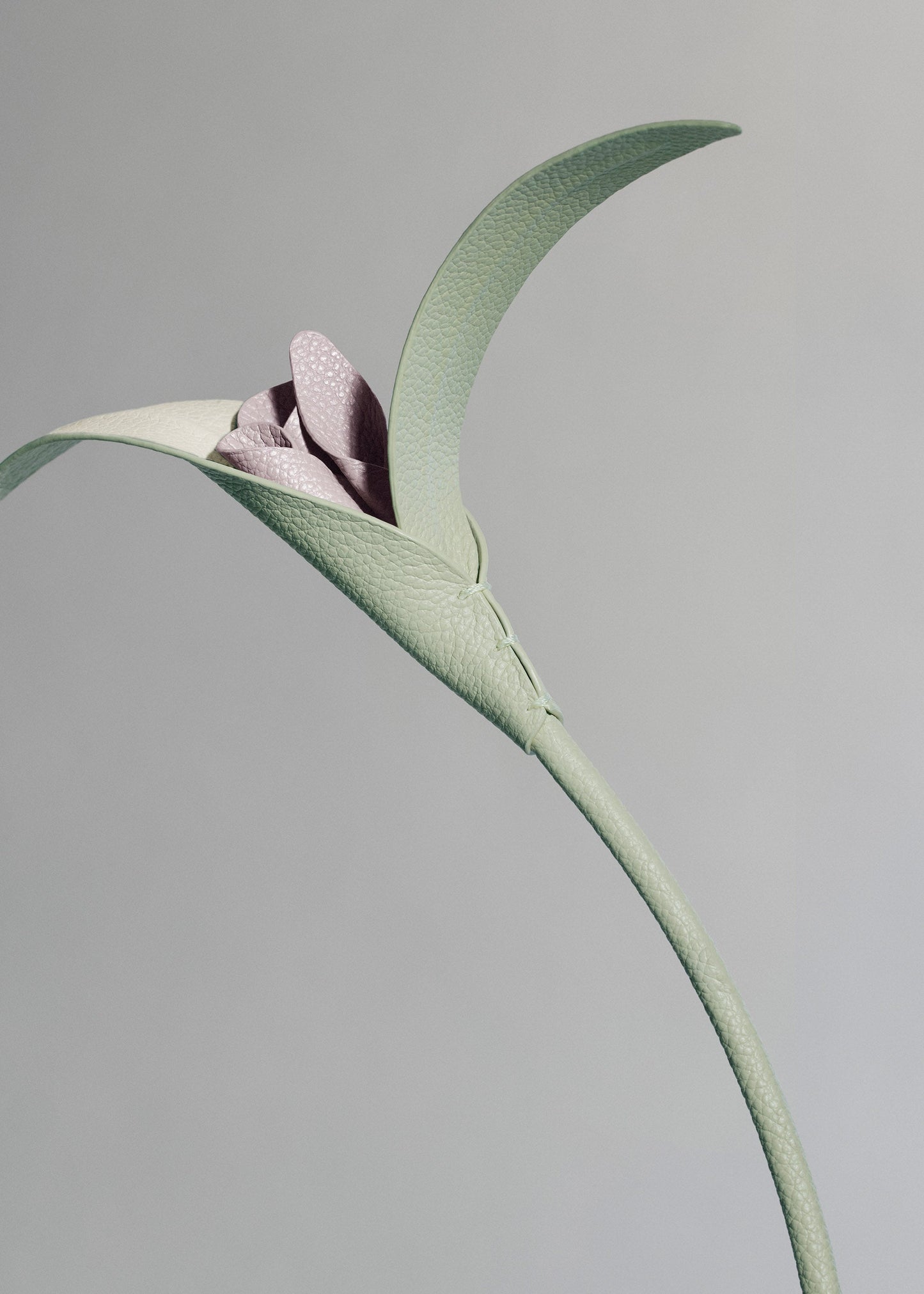 Touka Flower - Trio Fresh Almond