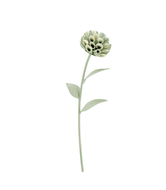 Dalium Flower - Duo Fresh Almond