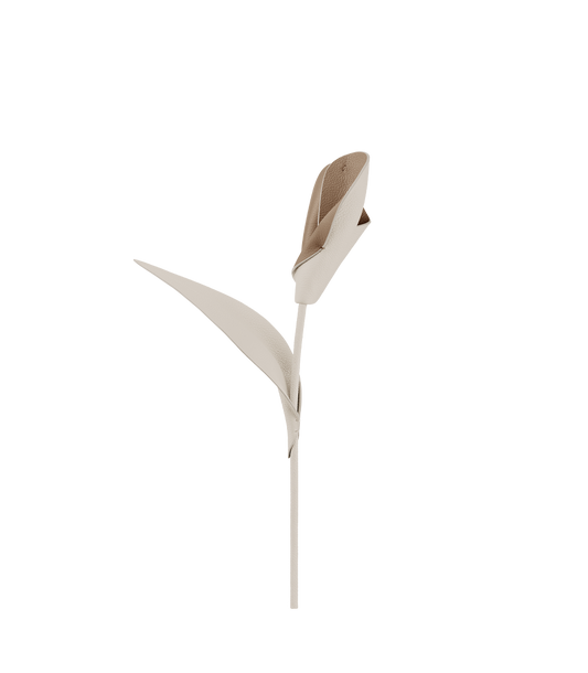 Pili Flower - Duo Chalk