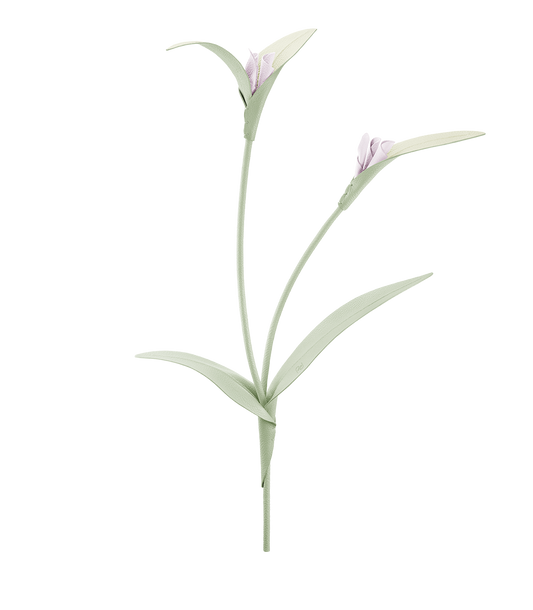 Touka Flower - Trio Fresh Almond