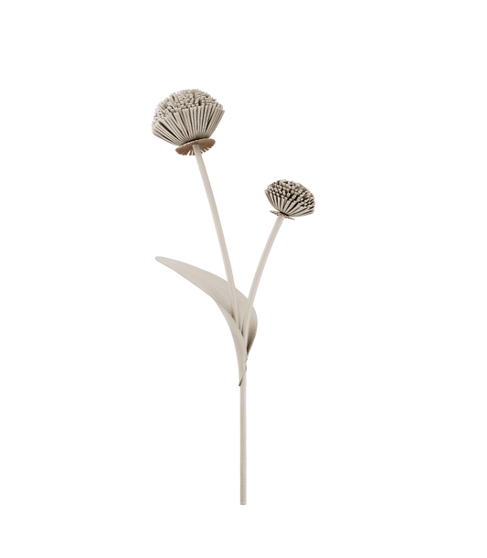 Tul Flower - Duo Chalk